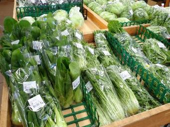 にじの耳納の里